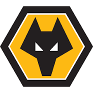 Wolves Football Logo on Nuvo360 Virtual Tours