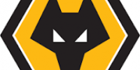 Wolves Football Logo on Nuvo360 Virtual Tours